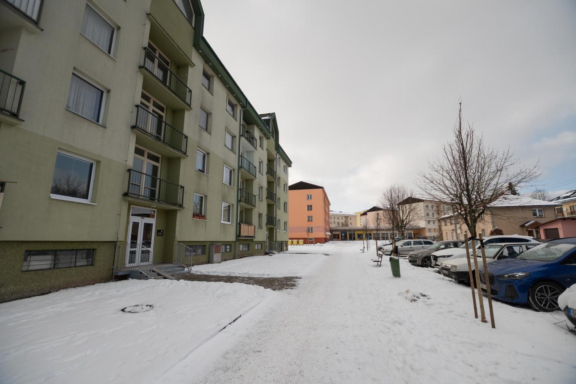 Apartman Radvanicka Lägenhet Radvanice  Exteriör bild